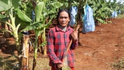 អ្នកស្រី ឈិន អែម​ អាយុ​៤៨ឆ្នាំ កម្មករ​នៅ​ក្រុមហ៊ុន​ចម្ការ​ចេក​អានម៉ាឌី ​ក្នុង​ស្រុក​អូររាំង​ឪ​ ខេត្ត​ត្បូង​ឃ្មុំ កាលពីថ្ងៃ​ទី​២៣ ខែ​កក្កដា​ ឆ្នាំ​២០២០។​ (ស៊ុន ណារិន/វីអូអេ)