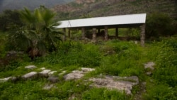 Stones from the foundation of the he Al-Juma (Friday) Mosque peek through overgrown plants, in Tiberias, northern Israel, Wednesday, Jan. 27, 2021.