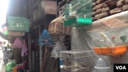 نمایی از بازار پرنده گان در شهر جلال آباد