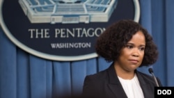 데이나 와이트 미국 국방부 대변인.