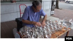 Jamey Turner the Glass Harpist