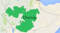 Haadha : Ijoollee Koo Sadii Hidhan. Sadan Keessaa Reeffa Isa Tokkoo Fidanii Natti Kennan