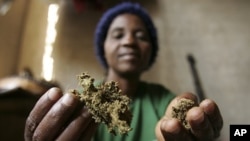 Zimbabwean healer Martha Katsande shows a traditional medicine in her surgery in Harare (File Photo).