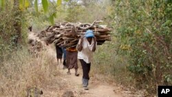 FILE -Women walk out of the forest carrying wood to use for cooking, in Tsavo East, in Kenya, June 20, 2014. A new report says environmental crime such as poaching elephants for ivory and selling illegal charcoal is helping finance criminal, militia and terrorists.