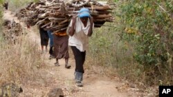 Une femme sort de la forêt en portant du bois pour cuisiner, à Tsavo, Kenya, le 20 juin 2014.