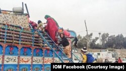 نیمی از مهاجرین افغان اجباری از کشورهای میزبان اخراج شده اند