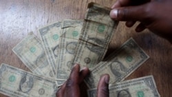 Report on Bond Notes Filed By Patricia Mudadigwa