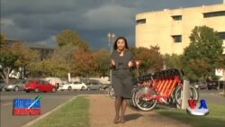 Qizlar uchun internetda darslar - Online school for girls