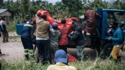 Ba ADF babomi lisusu kolekabato 22 na Territoire ya Beni