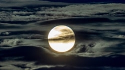 Quiz - New Research Suggests Full Moon Can Affect Sleep
