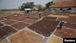 Farmers use rakes to dry cloves, commonly used in locally manufactured cigarettes, near Purwakarta, West Java, Indonesia, August 25, 2015.