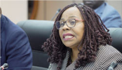 Monica Mutsvangwa, Zimbabwe’s information minister, says anti-government protests are counterproductive, in Harare, Aug. 14, 2019. (Columbus Mavhunga/VOA)