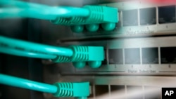 FILE - A photo shows network cables connected to a server at the CeBIT Computer and IT Far in Hanover, northern Germany.