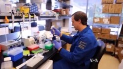 Gene Editing Shows Promise for Curing Genetic Disease