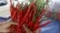 A worker holds harvested chilies at a plantation in Pasir Datar Indah village near Sukabumi, Indonesia's West Java province, Aug. 6, 2015. 