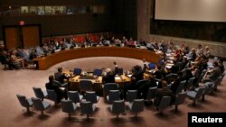 Members of the United Nations Security Council are seen meeting at U.N. Headquarters in New York, August 29, 2013.
