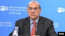 Sekjen OECD, Angel Gurria mengatakan nasib perekonomian regional sangat berbeda-beda di seluruh pelosok dunia (foto: dok).