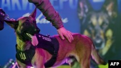 Ukrajinski vojnik mazi svog psa dok učestvuje u dodeli nagrada "Psi heroji Ukrajine" u Kijevu, 22. decembar, 2023. (Foto: AFP /Sergei SUPINSKY)