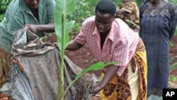 Bread for the World says women farmers need equal rights and equal access to resources.
