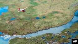 FILE - In this undated file photo provided by the U.S. Fish and Wildlife Service, an airplane flies over caribou from the Porcupine Caribou Herd on the coastal plain of the Arctic National Wildlife Refuge in northeast Alaska. The Interior Department plans to spend $4 million in the section of the Arctic National Wildlife Refuge where petroleum drilling may be allowed. 