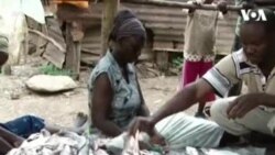 Majema Sun Kirkiro Sabuwar Hanyar Neman Kudi Da Sharar Kanfanin Sarrafa Kifi