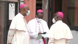 Les évêques de la RDC parlent d'écologie à Kinshasa