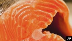 File - The EPA and FDA have recommended that pregnant women eat more fish such as salmon.