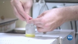 Ilon zahridan mo'may daromad