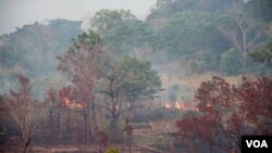 ភ្លើង​ឆេះ​ព្រៃ​នៅ​សមុទ្រ​ឈើ​ ក្នុង​ខេត្ត​មណ្ឌល​គិរី​ ថ្ងៃ​ទី១១​ ខែ​មីនា ឆ្នាំ​២០១៥។ ខេត្ត​មណ្ឌល​គិរី​គឺ​ជា​ខេត្ត​ដែល​មាន​ផ្ទៃ​ដី​ធំ​ជាង​គេ​នៅ​ក្នុង​ប្រទេស​កម្ពុជា​និង​គ្រប​ដណ្តប់​ដោយ​ព្រៃ​ឈើ​ ប៉ុន្តែ​មាន​ប្រជាជន​តិច​ជាង​គេ​ ហើយ​ភាគ​ច្រើន​គឺ​ជា​ជនជាតិ​ព្នង។​ (នូវ​ ពៅ​លក្ខិណា​/VOA)