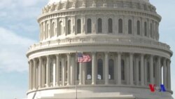 Immigratsiya qonuni Senatdan o'tmadi