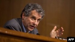 셔로드 브라운 미 상원 은행주택도시위원회 민주당 간사.