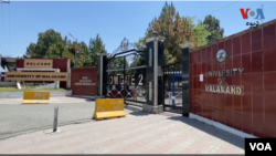 بابر سلیم سواتي د ګل په ورځ د اسمبلۍ غونډې ته وینا په وخت وویل :”تاسو هغه قانون صحیح کړئ. تاسو چې کوم نظام دی، هغه صحیح کړئ. نو بیا خبره ده کنه. تاسو کمیټي جوړه کړئ. راشئ د دې قانون صحیح کړئ. د دوی مخلوط نظام تعلیم ختم کړئ. نو زه تاسو سره یم. “