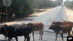  Namibe (Foto de Arquivo)