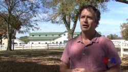 地下表演者们把蓝草音乐带上新高度