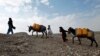 UN Warns of Worsening Situation for Displaced Afghans 