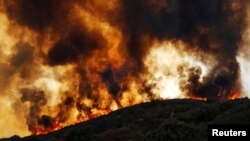 Kobaran api kebakaran yang meluas akibat terpaan angin bergerak melewati bukit ke arah perumahan dalam kebakaran River Fire (Mendocino Complex) dekat Lakeport, California, 2 Agustus 2018.