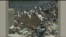 UN: Plastic Accounts for $13B in Damage to Marine Habitat