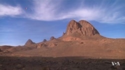 Viruses Falling from the Sky by the Billions