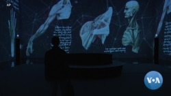 Leonardo Exhibit Casts New Light on Artist