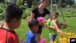 In this photo provided by Ginny Hughes, members of the Troy Kids' Garden Learning Community make bouquets at Troy Gardens in Madison, Wis. (Ginny Hughes via AP)