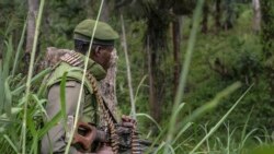 Sango ya Mokili Lelo: Ba FARDC babotoli ba M23 bisika binso na Rutshuru