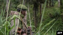 Un soldat des Forces Armées de la République démocratique du Congo (FARDC) prend position lors d'échanges de tirs avec des membres des ADF (Forces Démocratiques Alliées) à Opira, Nord Kivu, 25 janvier 2018.