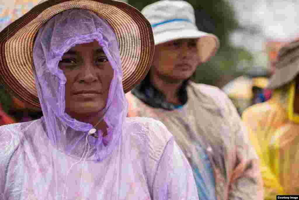 ស្ត្រីម្នាក់​មក​ពី​សហគមន៍​នៅ​ខេត្ត​កោះកុង​ឈរ​ក្រោម​មេឃ​ភ្លៀង នៅ​មុខ​តុលាការ​ខេត្ត​កោះកុង ដើម្បី​ទាមទារឲ្យ​ដោះលែង​សកម្មជន​បរិស្ថាន​ទាំង​បីនាក់​របស់​ចលនា​មាតាធម្មជាតិ កាលពី​ថ្ងៃច័ន្ទ ទី២៧ ខែមិថុនា ឆ្នាំ២០១៦។ (រូបថត​ដោយ​អ្នកនាង ម៉ម កល្យាណី)