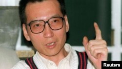 FILE - Veteran Chinese pro-democracy activist Liu Xiaobo makes a point during a March 1995 interview.