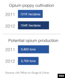 Opium crop cultivation in Afghanistan