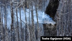 Според еколози и агрономи, поради изгорените шуми ќе се зголемат сушите и опасностите од нови пожари. Фото: Пожари во Малешевијата.