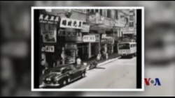 美国泛亚裔商会主席区懿红