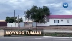 Orol dengizi joylashgan tuman 