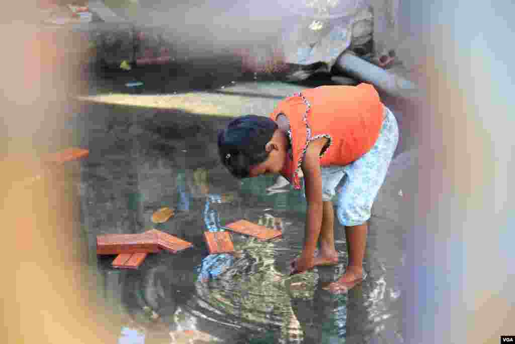 សត្វ​សេះ​មួយ​ត្រូវ​អ្នក​បង្វឹក​ដឹក​ទៅ​ហ្វឹកហាត់​នៅ​ឯ​ Churchill Downs នៅ​ក្រុង Lousiville រដ្ឋ​ Kentucky។