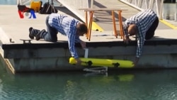 นักวิทยาศาสตร์ในออสเตรเลียพัฒนาหุ่นยนต์สังหารปลาดาวศัตรูของปะการัง